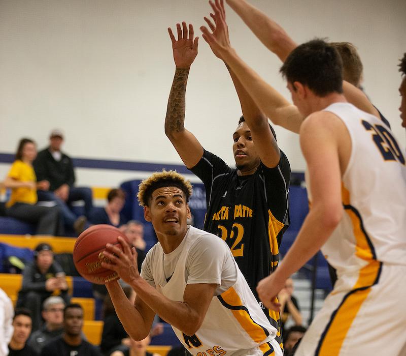 Golden Eagles Fall in OT