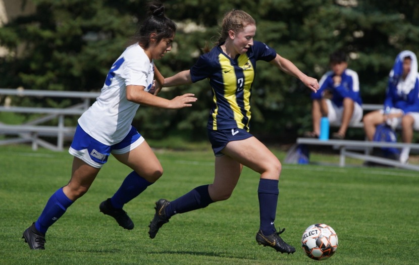 Brown scores in Golden Eagles OT loss