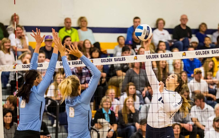 Golden Eagles Complete Sweep on Day One of WyoBraska