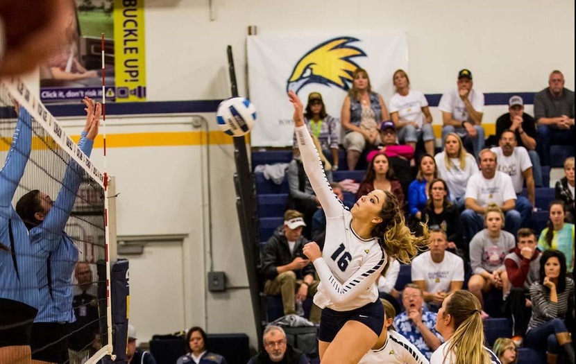 Golden Eagles Complete Sweep at MCC Triangular
