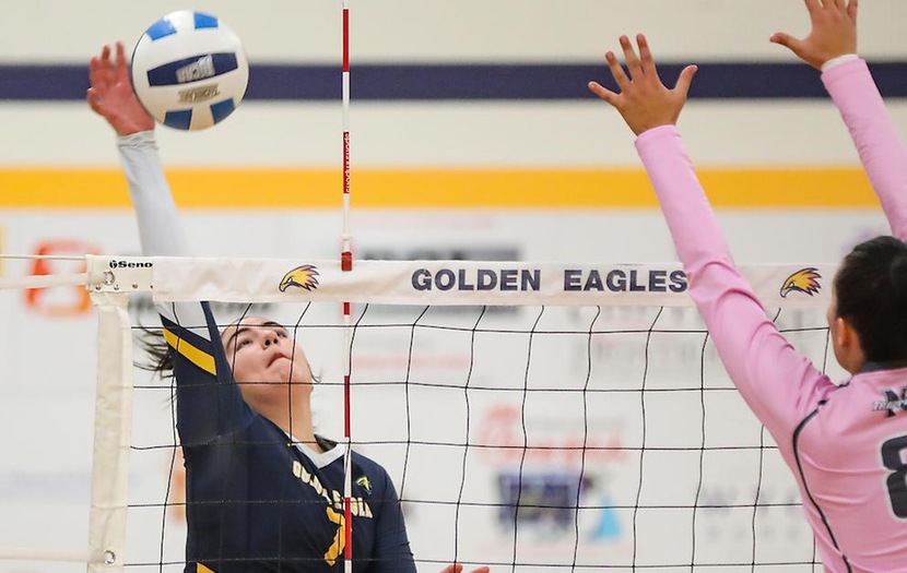 Golden Eagles Knock Off Rustlers in Four