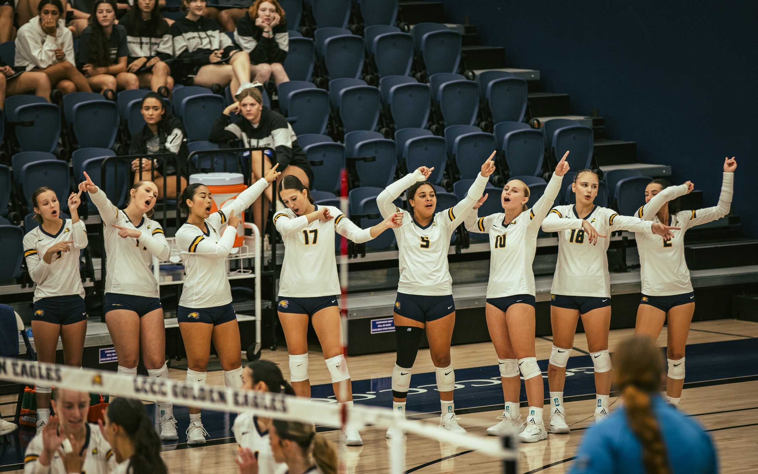LCCC Volleyball Push #5-Ranked Northeastern to Five Sets in Gritty Battle